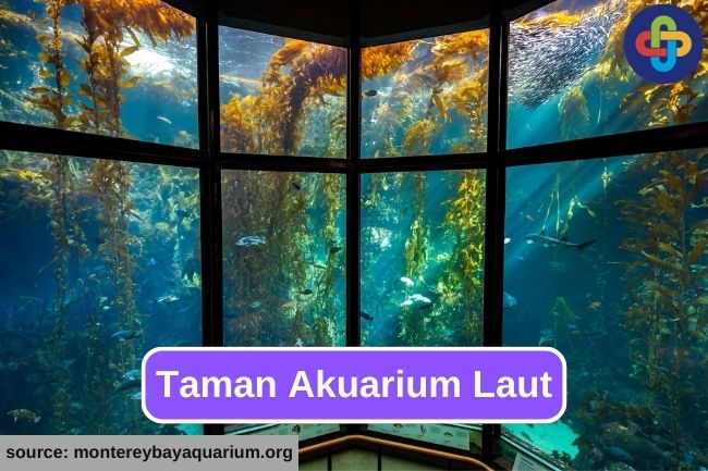 10 Taman Akuarium Laut dari Seluruh Dunia